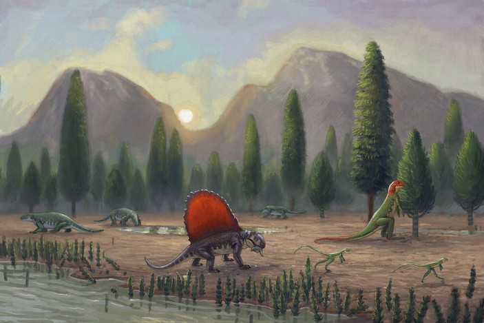 Экосистема эудибама