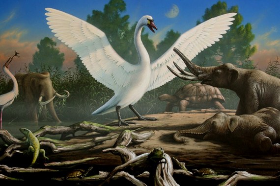 Гигантский лебедь и карликовый слон