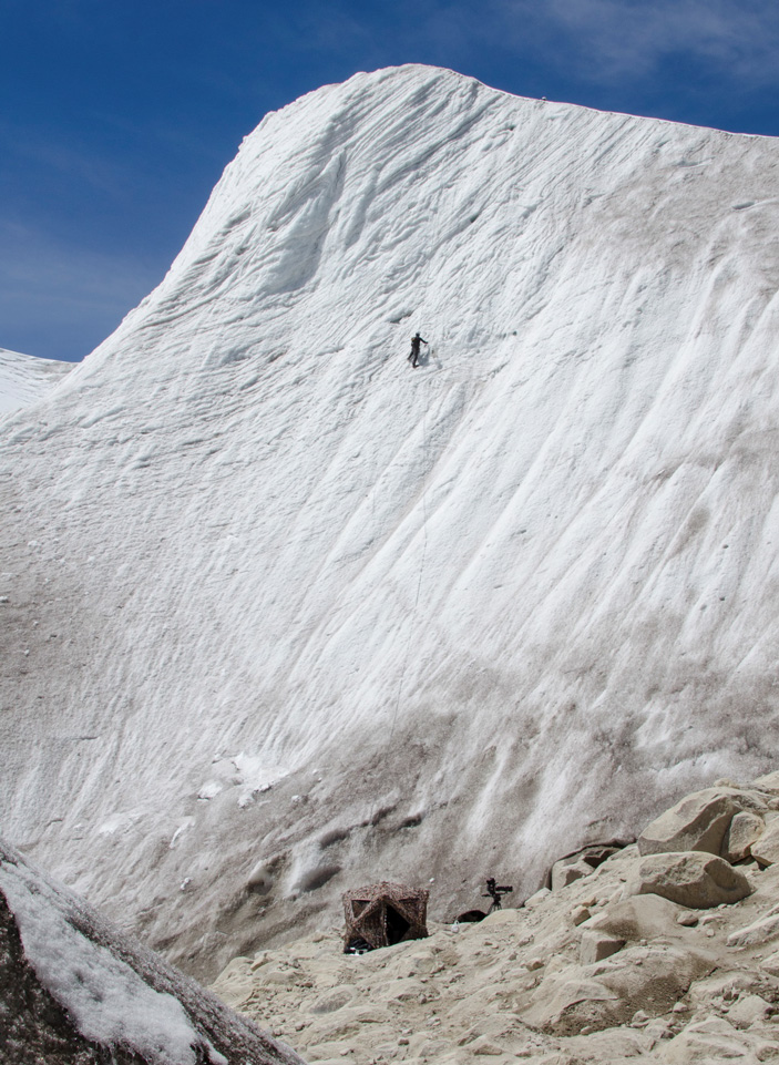 Коки устанавливает камеру у гнезда белокрылой диуки в апреле 2016 года