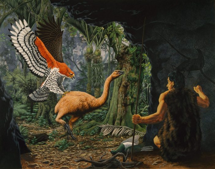 Орел Хааста и маори