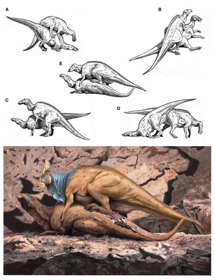 Спаривание гадрозавров