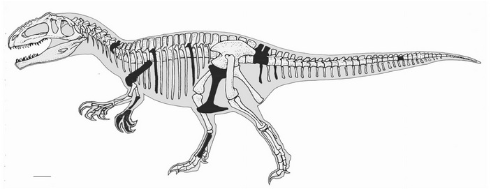 Мегараптор