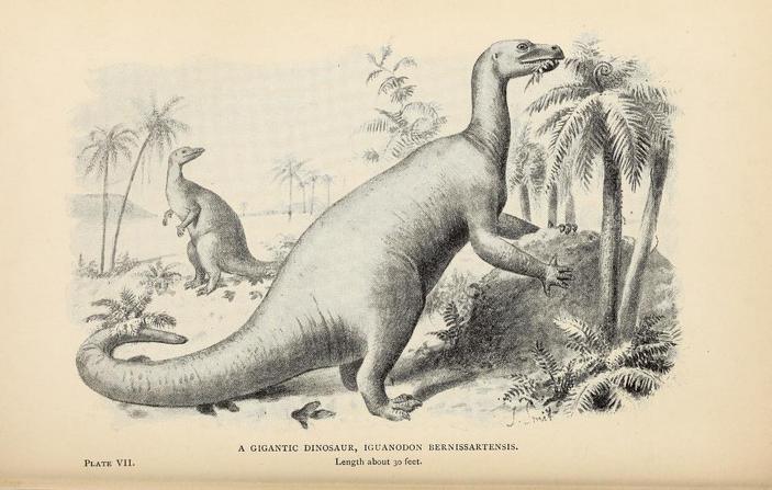 Реконструкция игуанодона