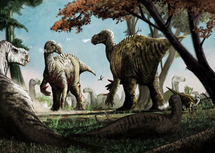 Бой игуанодонов