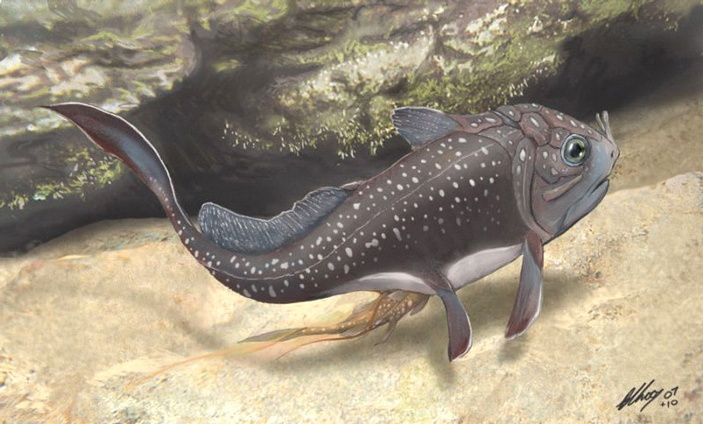 Materpiscis attenboroughi