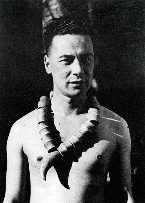 Ожерелье из костей моа