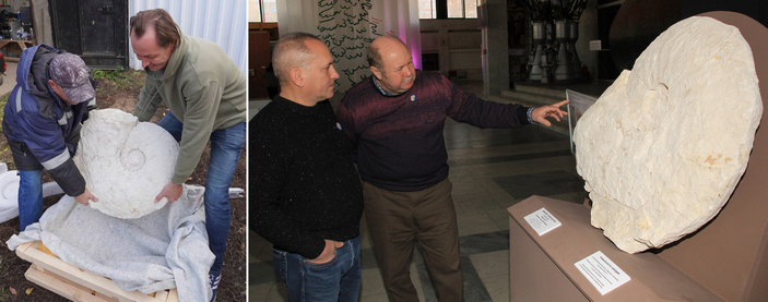 Аммонит в Самарской области