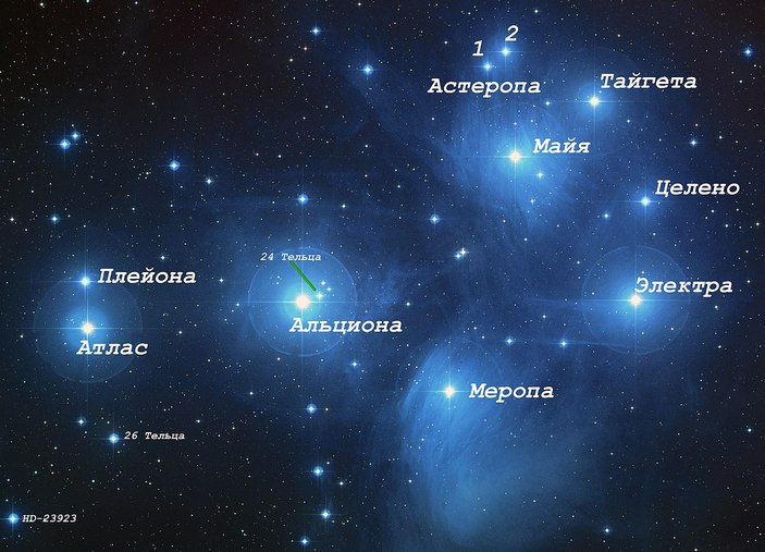 Самые яркие звезды Плеяд