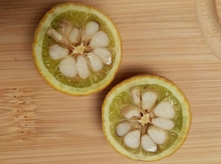 Плод понцируса