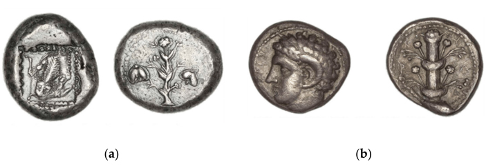 Изменение традиции изображения сильфия от ранних монет к более поздним