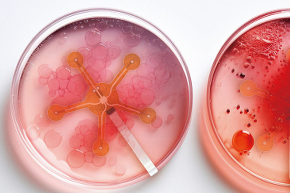 Гибкий мониторинг стволовых клеток