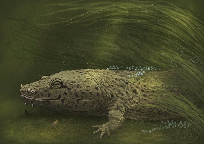 Реконструкция трипаногната