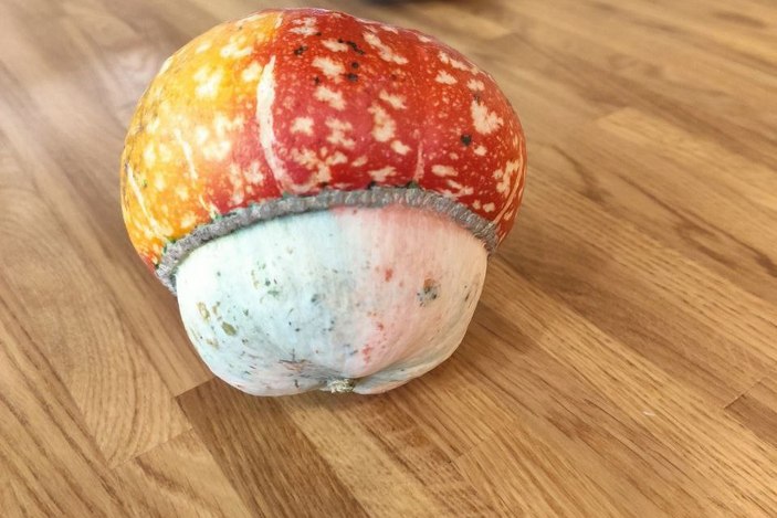 Созревшая тыква