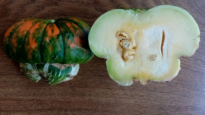 Чалмовидная тыква в разрезе