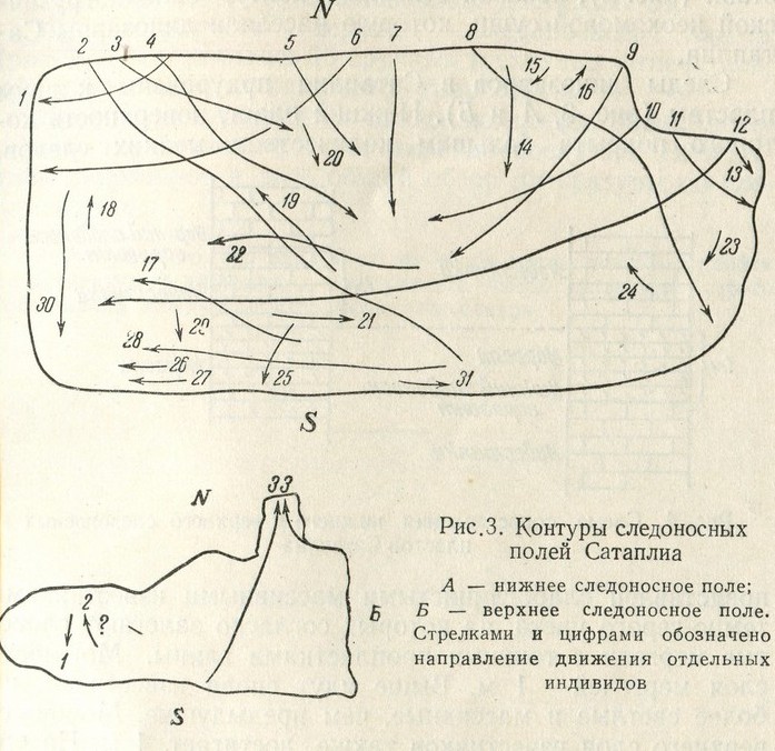 Следовые дорожки