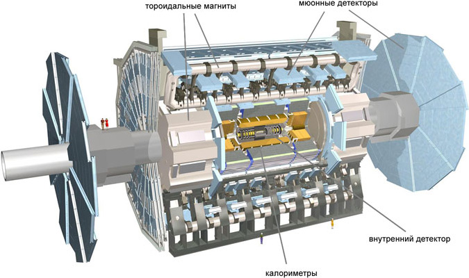 Детектор ATLAS в разрезе