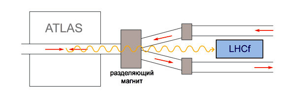 Рис.&nbsp;1. Схема расположения детекторов эксперимента LHCf. Нейтральные частицы, родившиеся в столкновении протонов в&nbsp;центре детектора ATLAS и вылетевшие вперед (волнистая оранжевая линия), не отклоняются магнитным полем и попадают в детектор LHCf. Схема не отражает реальные масштабы. Рис.&nbsp;И.&nbsp;Иванова