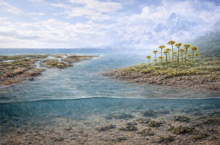 Рис. 1. Первые наземные растения, изменившие ландшафт Земли в позднем ордовике