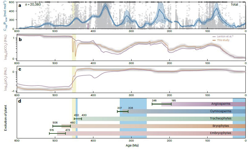 Изменение отношения Corg/Ptotal в морских отложениях, уровней углекислого газа и кислорода в атмосфере и возникновение основных групп растений в течение фанерозоя