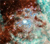 Район бурного звездообразования — туманность 30 Золотой Рыбы (фото с сайта hubblesite.org)