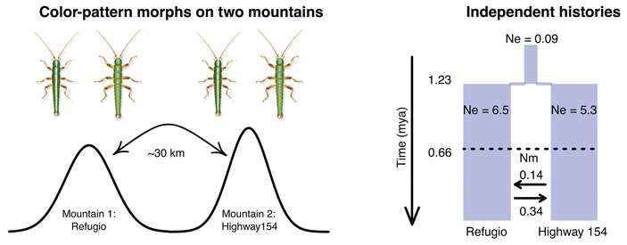 Материал исследования