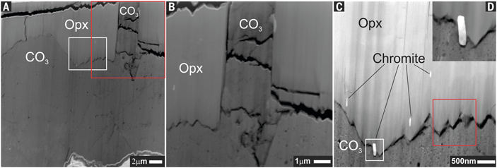 Рис. 5. Анализ второй пластины — поперечного среза карбонатных глобул
