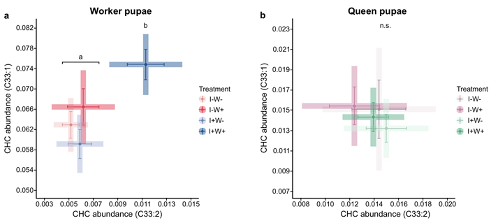 Рис. 2. Относительное количество кутикулярных углеводородов C33:1 и&nbsp;C33:2 у&nbsp;куколок рабочих (слева, Worker pupae) и&nbsp;цариц (справа, Queen pupae) в&nbsp;восьми вариантах опыта