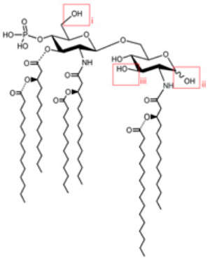 Рис. 2. Химическая структура производного клеточной стенки бактерии Salmonella minnesota — монофосфорил-липида A