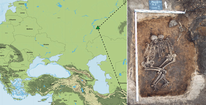 Рис. 2. Расположение курганного могильника Михайловский II в Самарской области и найденные там скелеты