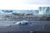 Фото с сайта derstandard.at