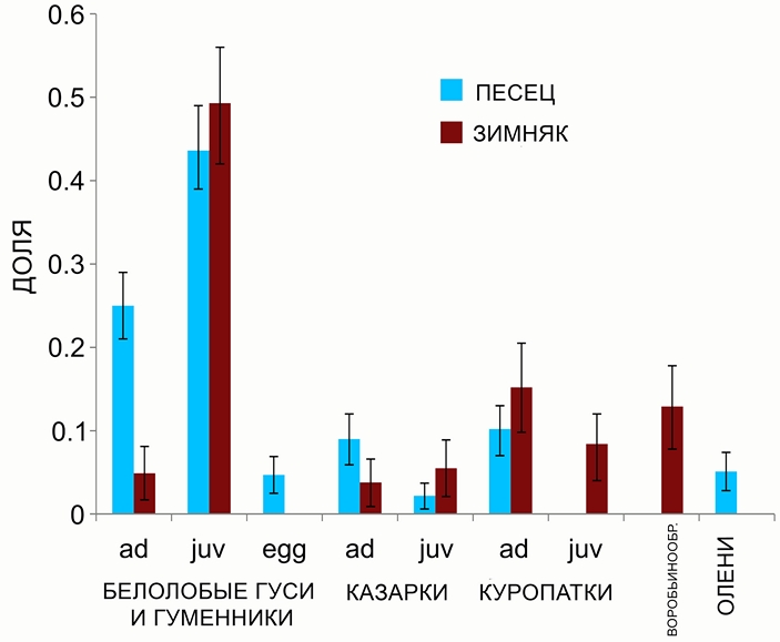Диета песцов и зимняков