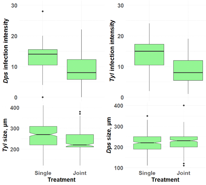 Рис. 2. Верхний ряд: при совместном заражении оба паразита менее успешно проникали в хозяина, чем при моноинфекциях, а вот на скорость роста паразитов присутствие соседа оказывало различное влияние