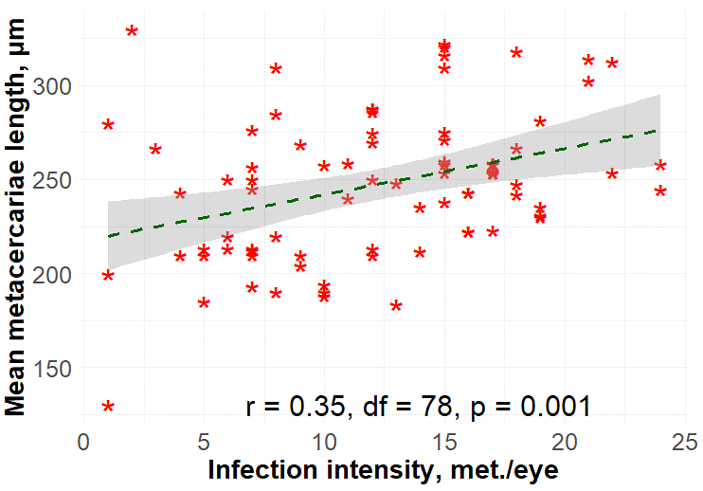 Рис. 3. Скорость роста личинок (метацеркарий) Tyl положительно коррелировала с их числом в стекловидном теле