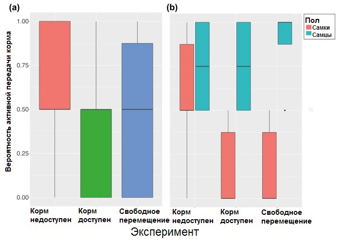 Рис. 5. Вероятность активной передачи корма подопытной особью голубой сороки