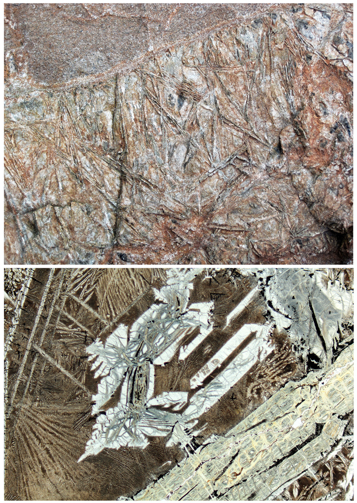 Рис. 2. Обнажение коматиита в Онтарио