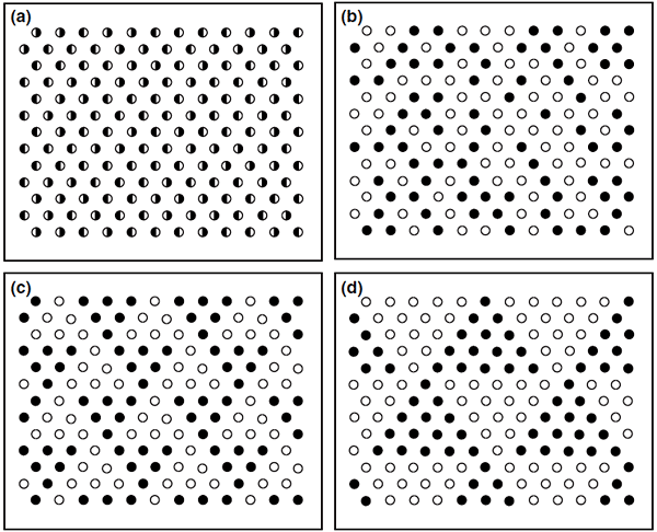 Разные варианты расположения растений в эксперименте: (a)&nbsp;&ndash; регулярное (в&nbsp;каждом узле представлены оба вида); (b)&nbsp;&ndash; случайное (в&nbsp;каждом узле по два горшка с&nbsp;одним видом растений, случайно выбранным); (c)&nbsp;&ndash; мелкие скопления предпочитаемого вида; (d)&nbsp;&ndash; крупные скопления предпочитаемого вида. Рис. из обсуждаемой статьи в Ecology Letters