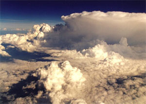 Фото с сайта www.cu2.nl