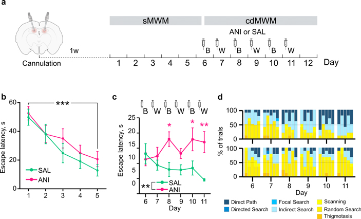 Рис. 2. Различение обстановок зависит от зубчатой извилины гиппокампа