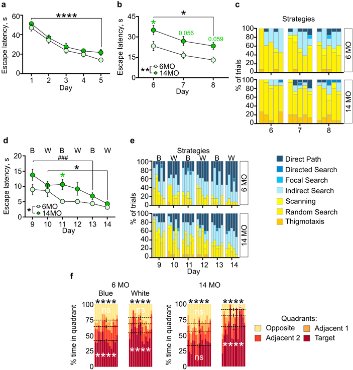 Рис. 4. Поведение при обучении в sMWM, rMWM и cdMWM у мышей в возрасте 6 месяцев (6МО) и 14 месяцев (14МО)