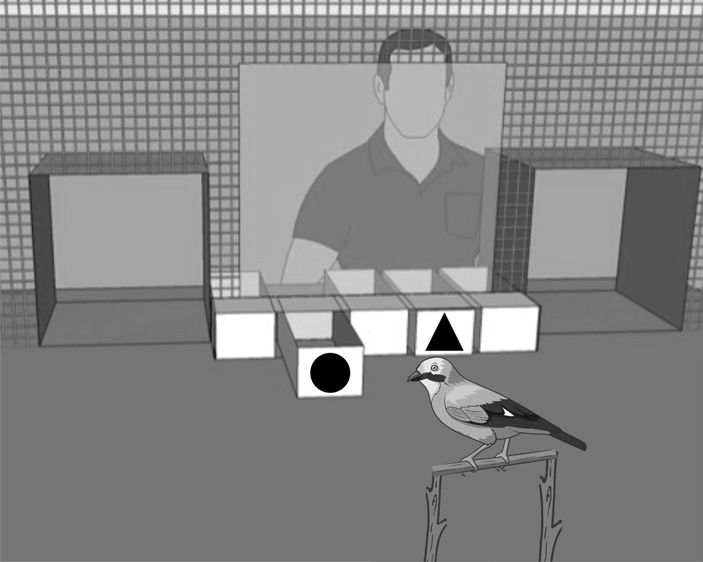 Схема эксперимента, проверяющего способности к самоконтролю