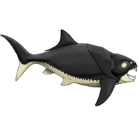 Dunkleosteus terrelli