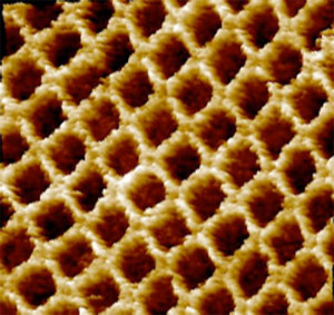 ДНК-решетка, полученная в Университете Дьюка в 2003 году. Шаг решетки составляет 20 нм (фото из доклада John H. Reif, Self-Assembled DNA Nanostructures for Molecular Scale Patterning, Computation and Motors на сайте www.cs.duke.edu/~reif)