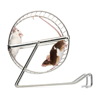 Регулярные занятия физкультурой улучшают память и сообразительность