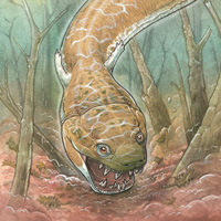 Gaiasia jennyae