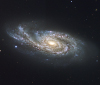Спиральная галактика NGC 908 в созвездии Кита (фото с сайта www.eso.org)