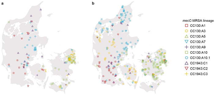 Рис. 3. Географическое соответствие между разновидностями метициллинрезистентных стафилококков mecC-MRSA у диких ежей и людей