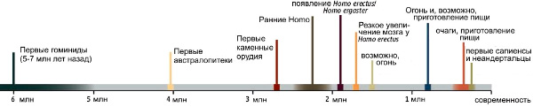 Хронологическая схема из обсуждаемой статьи в Science