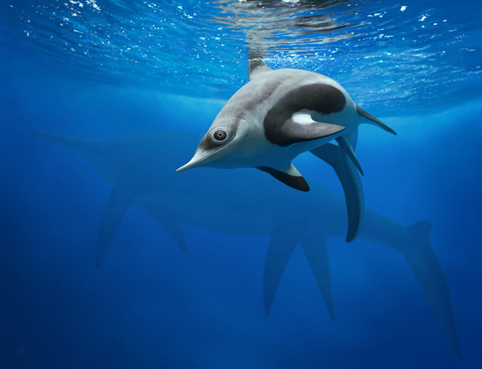 Новооткрытый ихтиозавр авроробореалия (Auroroborealia incognita)