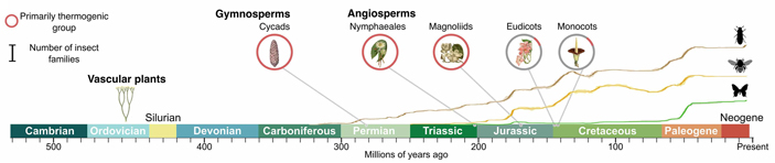 Рис. 9.&nbsp;Временная шкала эволюции основных групп растений и&nbsp;накопленного разнообразия семейств насекомых-опылителей в&nbsp;геологическом времени