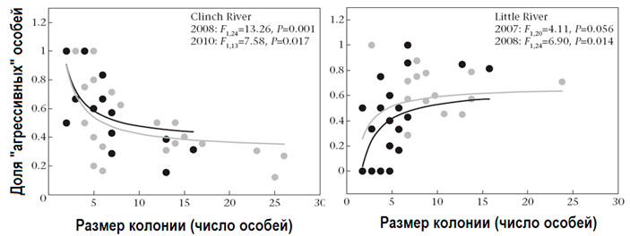 Рис. 3. Распределение доли агрессивных особей в зависимости от размеров естественных колоний